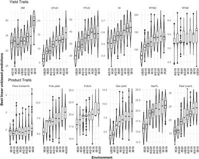 Genetic variability and genotype by environment interaction of two major cassava processed products in multi-environments